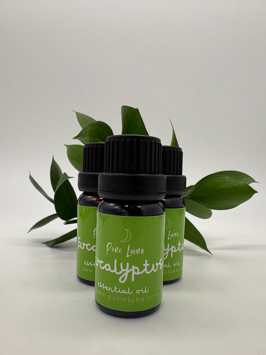 Eucalyptus Essential Oil